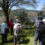 ４月１１日（土）JRハイキング（余呉は俳句の地） 余呉湖一周、湖畔に建つ句碑を読み解く